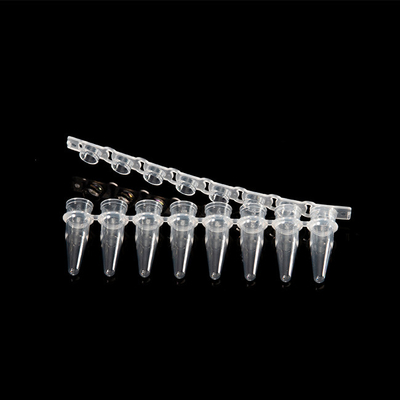 0.2ml 8 ストリップ PCR チューブ